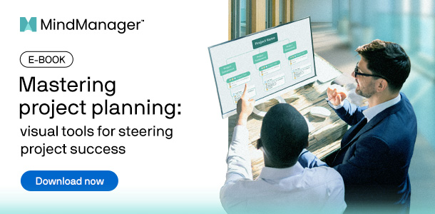 E-Book: Mastering project planning